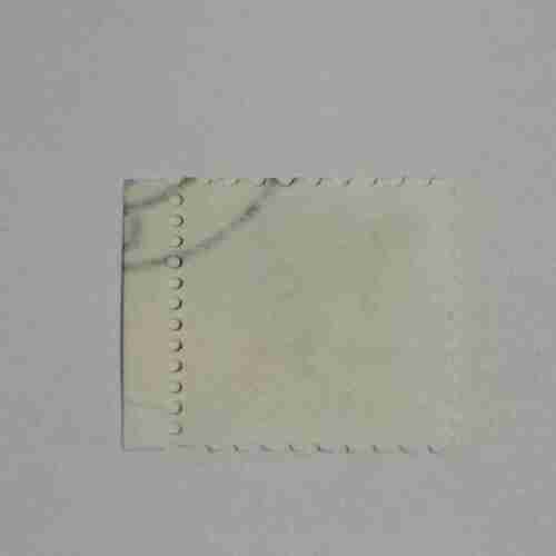 Document 14_54 USA RACCOON 3C STAMP