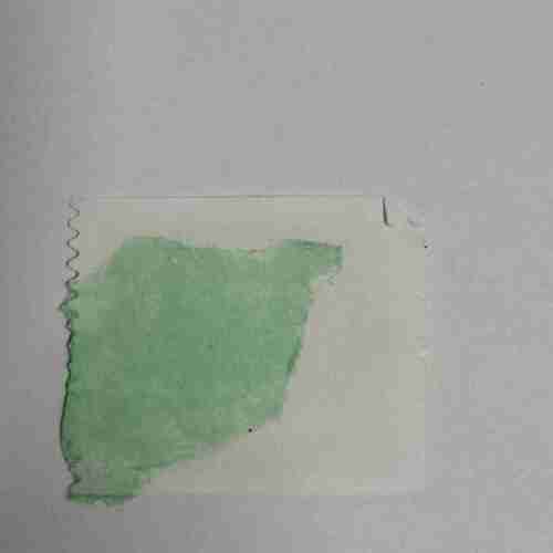 USA Presorted Standard 2000