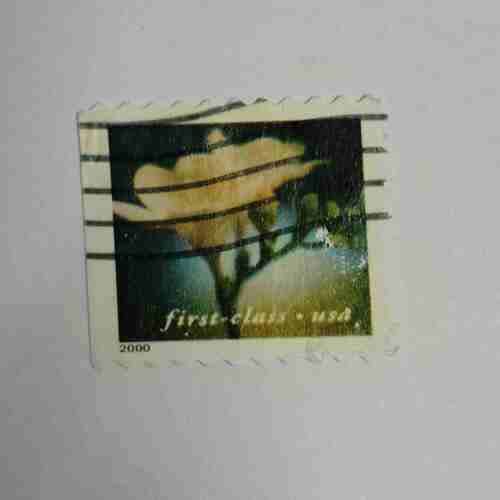 Document 14_89 FIRST CLASS USA STAMP