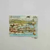 AUSTRALIA THE FIRST FLEET 37C,STAMP