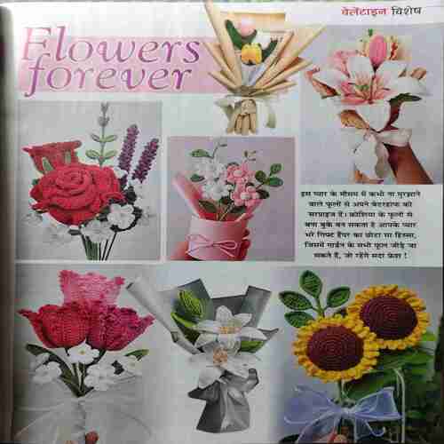 Vanita ( February 2026 )