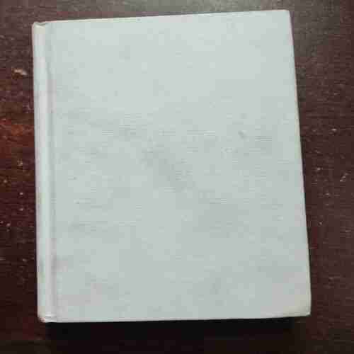 THE WISDOM BRIDGE (DAAJ)