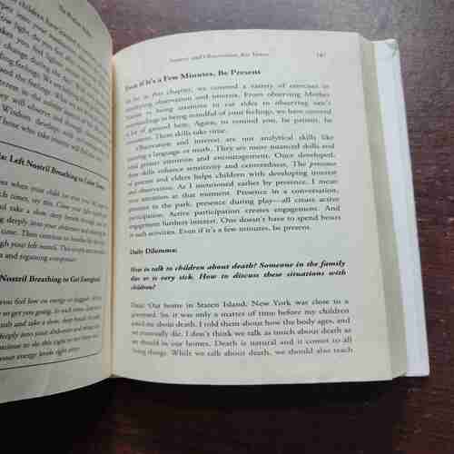 THE WISDOM BRIDGE (DAAJ)