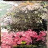 Kitchen Garden (Pages 300)