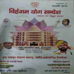 Vihagam Yog Sandesh ( November 2017 )