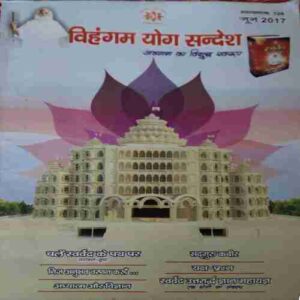 Vihagam Yog Sandesh ( June 2017 )