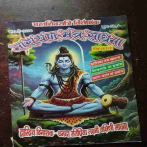 Narayan - Mantra - Sadhana ( February 2026 )