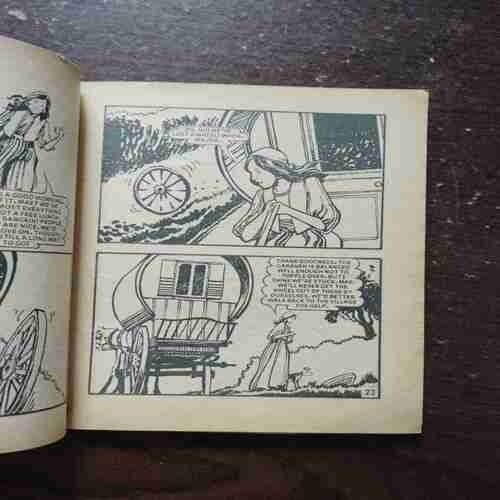 Document 6_112 Mandy ( Rambling Rosa )