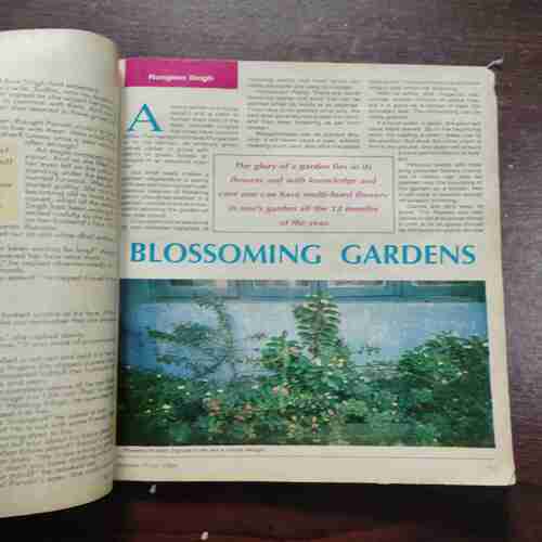 Woman's era ( October 1st 1994 )