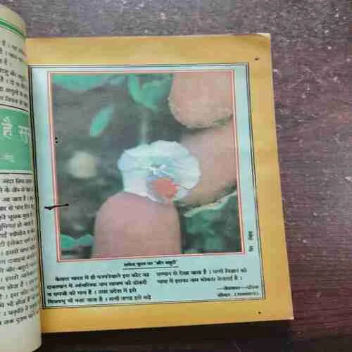 Kadambini ( December 1996 )