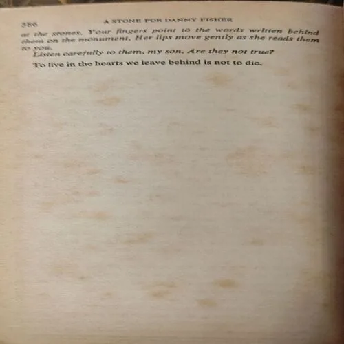 A Stone For Danny Fisher (pages 386)