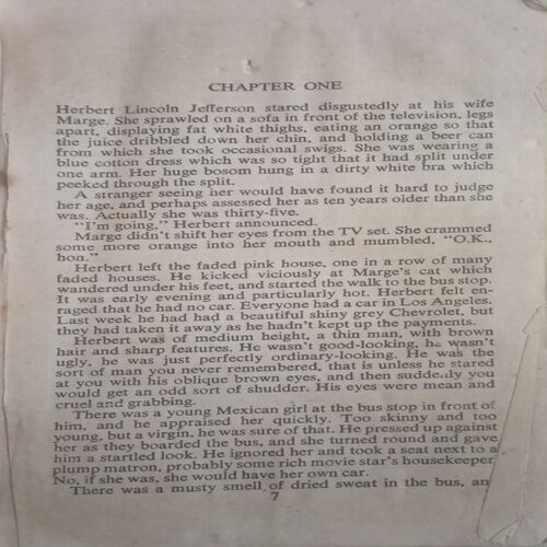 Sunday Simmons & Charlie Bricks (By =Jackie Collins ) ,(Total pages=283)water impacted