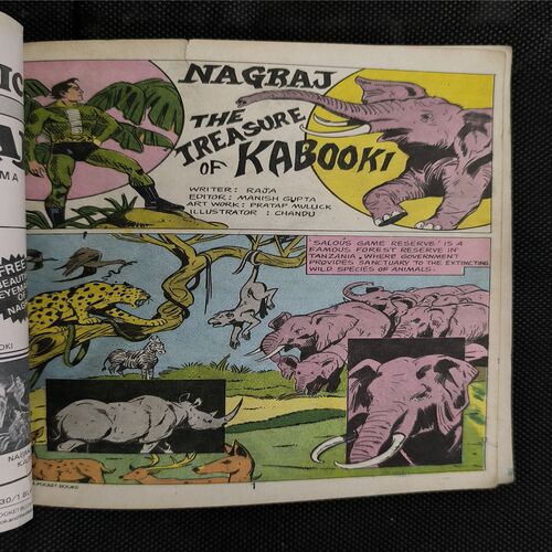 Nagraj The Treasure Of Kabooki