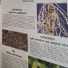 Document_146 Discovery ( September 2011)