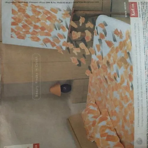 Saras salil (February I 2006)damage