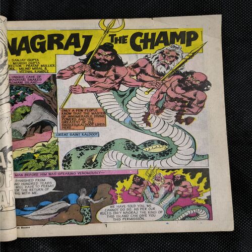 Document_39 Nagraj The Champ