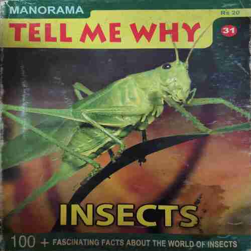 Tell me why ( April 2009 )