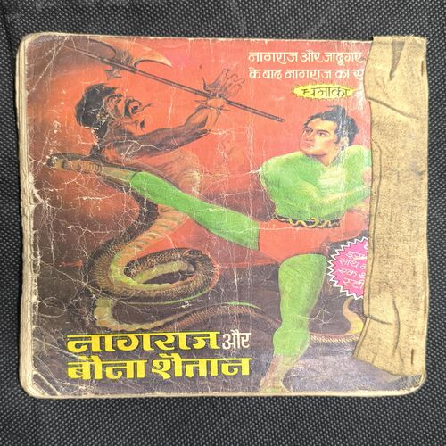 Nagraj Aur Jadugar Sakura