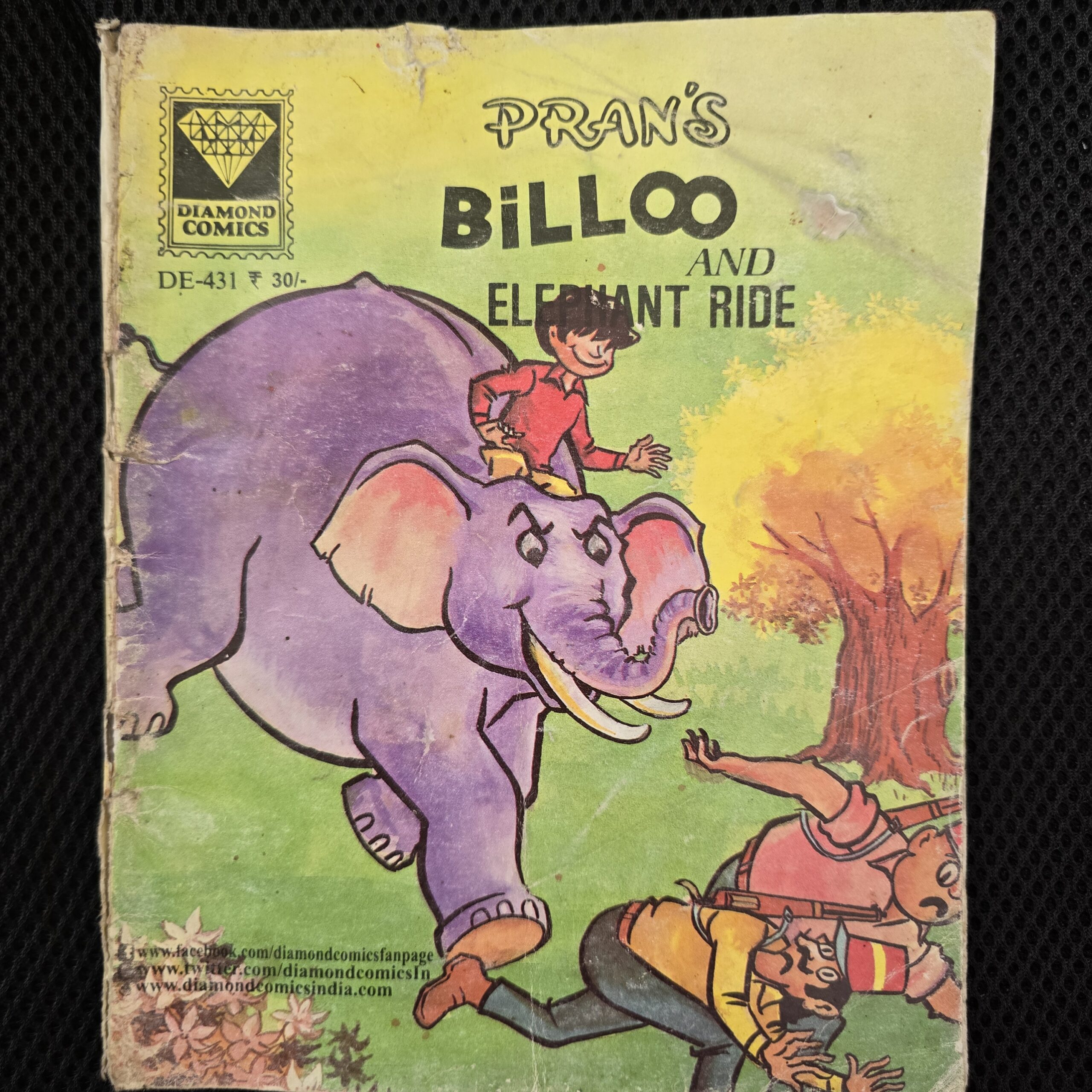 Billoo and Elephant Ride