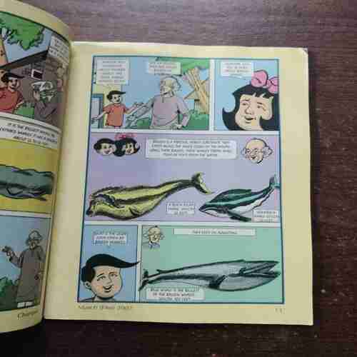 Champak ( March 1st , 2007 )