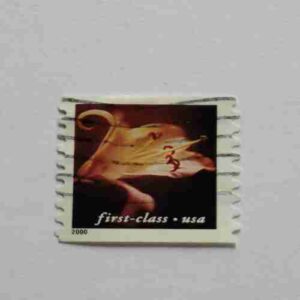 FIRST - C;ASS . USA POSTAGE