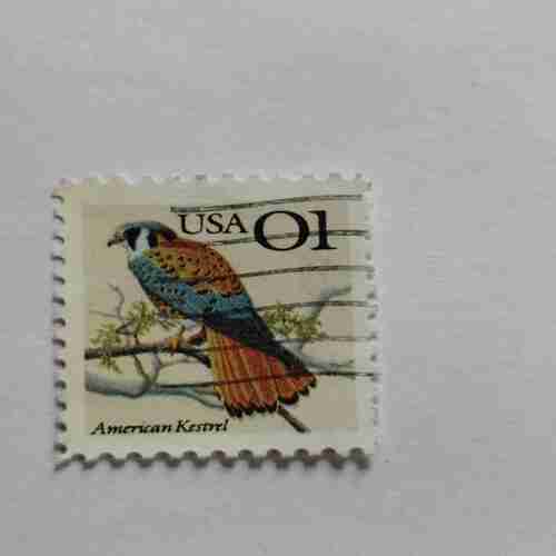 USA 01 POSTAGE STAMP ,AMERICAN KESTREL
