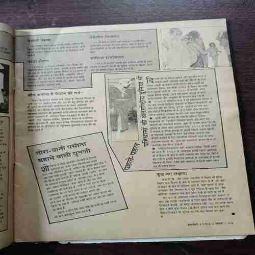Document 12_8 Vama ( January 1987 )