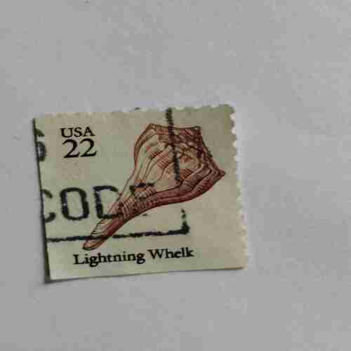 Document 12_99 USA 22 POSTAGE STAMP , LIGHTNING WHELK