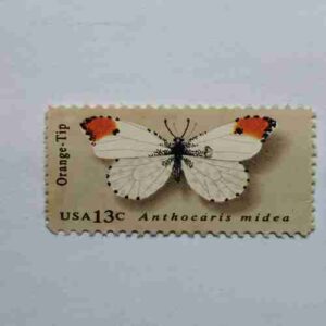 USA 13C , Anthocaris Midea , Orange- Tip