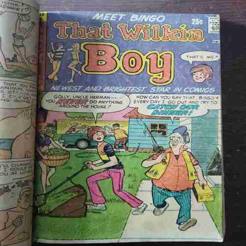 Binding 9 in 1 Front Cover Is Missing ( Mad House Glads ( Down Side Small Cut ) , Mad House Ma.ad , Life With Archie , Archie Pep ( Upper Side Small Cut ) , Archie 's Pals 'n' Gals , That Wilkin Boy , The Mad House Glads , Reggie 's " wise Guy " Jokes , Life With Archie )