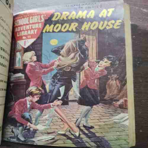 Document 16_6 Binding 6 in 1 ( Ann And Sally - Catch The Post , Adventure In Amsterdam , Moor House To Rescue , The Clinton Treasure , Drama At Moor House , Joyce And The Golden Medallion )