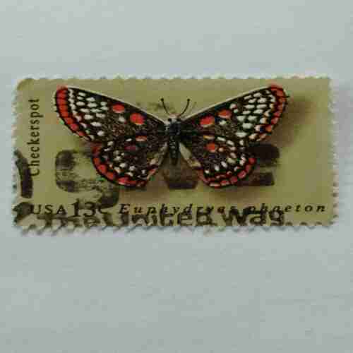 Document 17_25 USA 13c POSTAGE , CHECKERSPOT