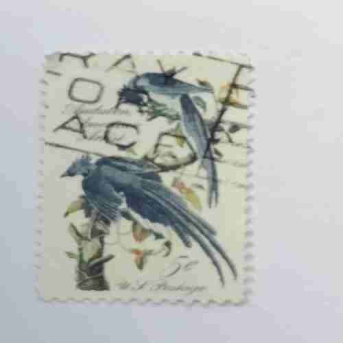 U.S.5 Cents BIRD POSTAGE STAMP