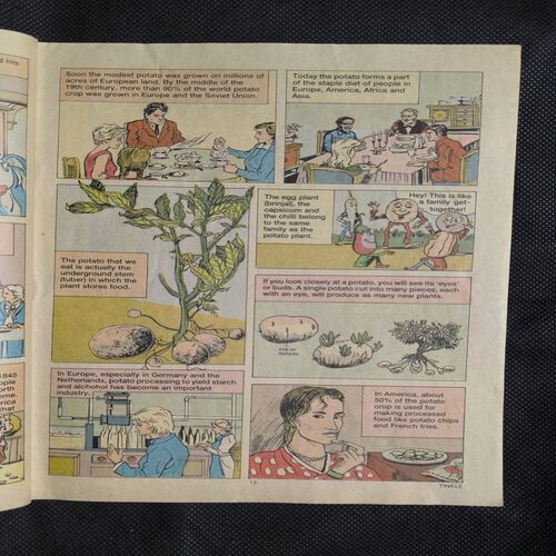 Document 2_22 Tinkle no-244