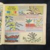 Document 2_48 Tinkle no-305