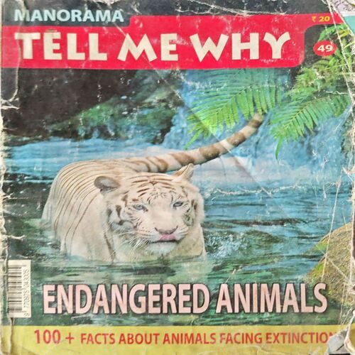 Document 3_22 Tell Me Why (No. 49) (back cover missing)