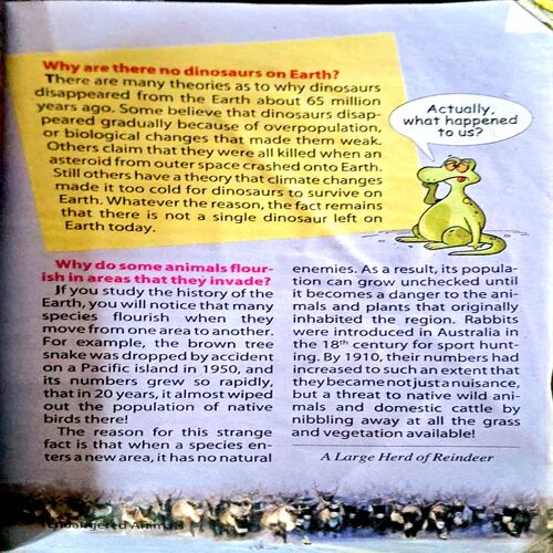Document 3_23 Tell Me Why (No. 49) (back cover missing)