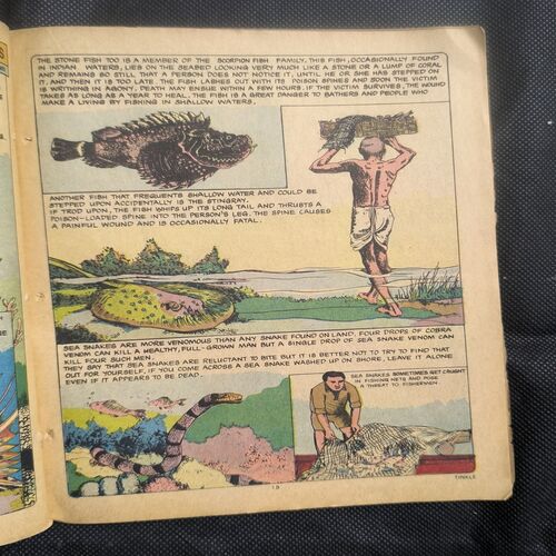 Document 3_37 Tinkle no-171