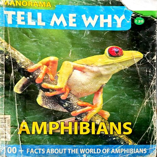 Tell Me Why (no. 1)