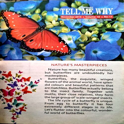 Tell Me Why (No. 122)