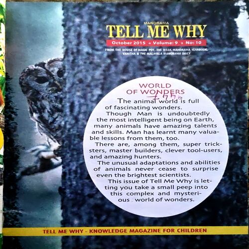 Tell Me Why (No. 109)