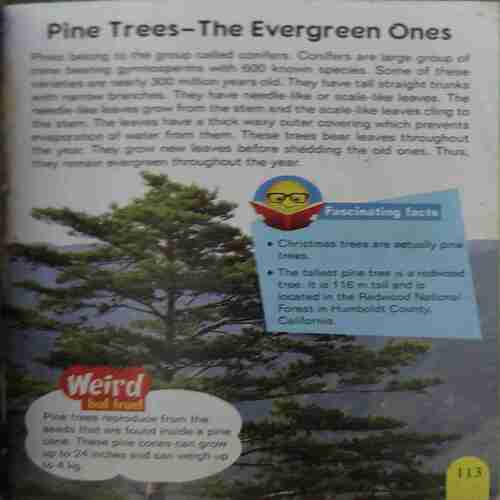 Knowledge Encyclopedia