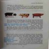 Children 's Book of Knowledge ( No. 0f Pages = 200 )