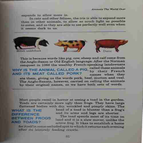 Children 's Book of Knowledge ( No. 0f Pages = 200 )