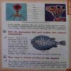 Encyclopedia of Knowledge