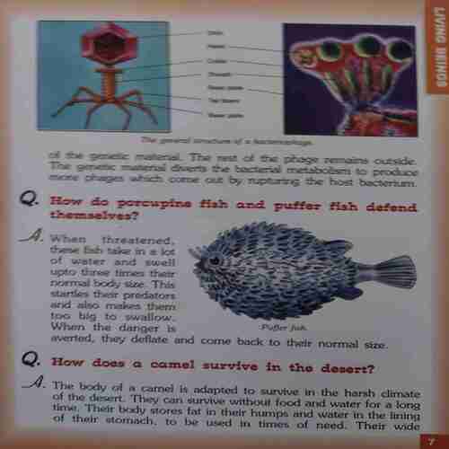 Encyclopedia of Knowledge