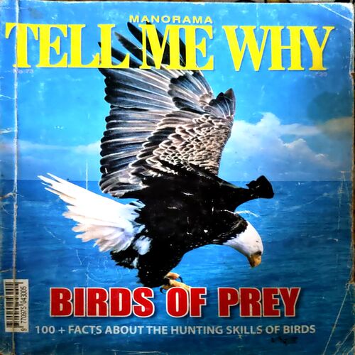 Document 5_10 Tell Me Why (No. 13)