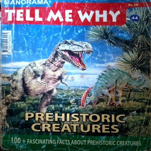 Tell Me Why (No. 44) (back cover missing)