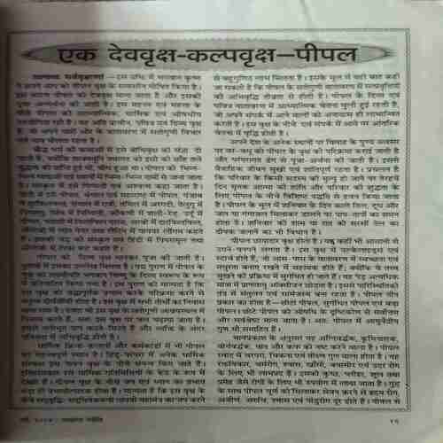 Akhand Jyoti ( May 2004 )