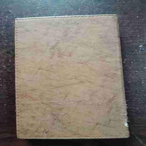 Document 6_19 Geeta - Dainandini Diary ( 2025 )